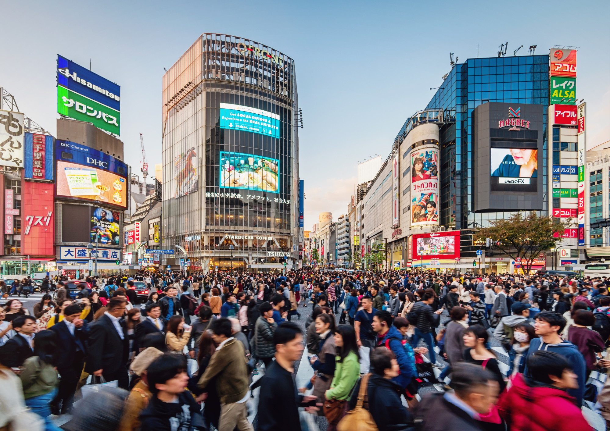 家族の違和感を「事実」に変える素行調査の全貌｜大阪の探偵が教える費用の正解と失敗しない依頼法
